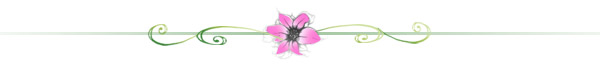  (600x68, 6Kb)