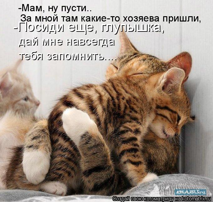  (680x648, 100Kb)