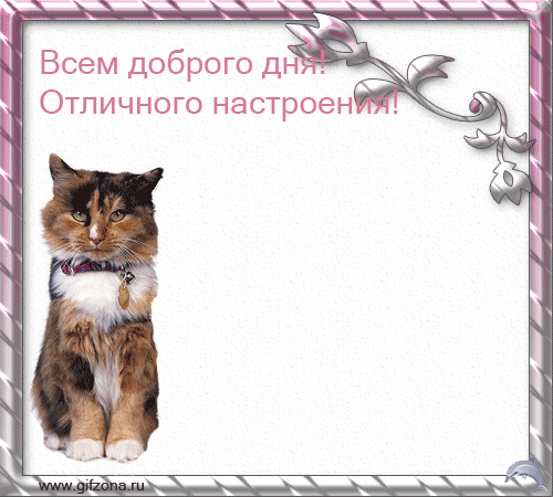  (500x450, 149Kb)