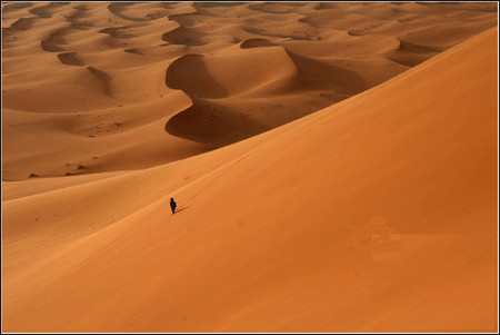  (450x301, 65Kb)