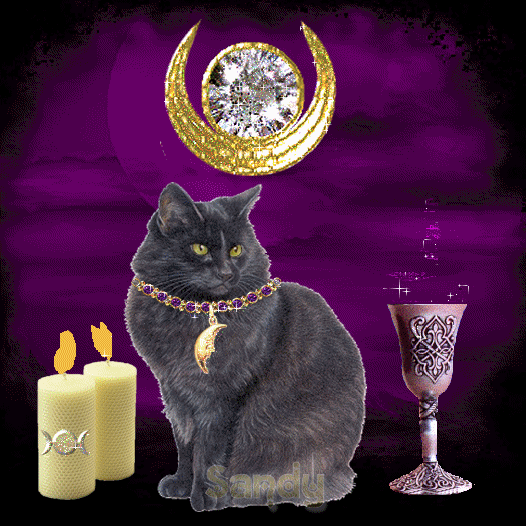 Вечера с котиком 1. Магические кошки. Добрый вечер чёрный кот. Вечерние волшебные коты. Кот вечером.