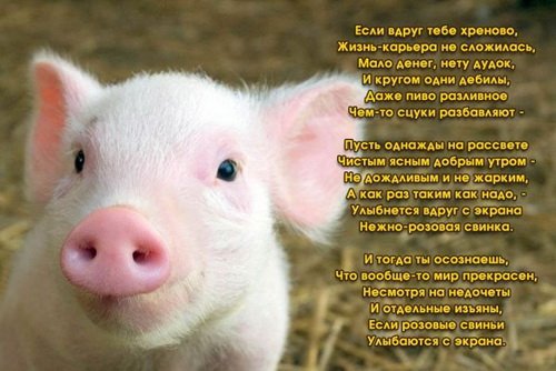  (500x334, 41Kb)