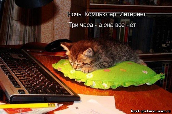 http://img1.liveinternet.ru/images/attach/c/0/44/208/44208910_1243161258_prikol.jpg