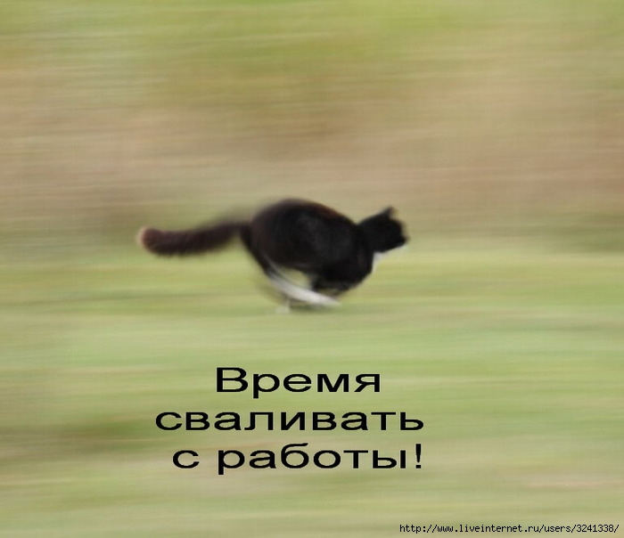 http://img1.liveinternet.ru/images/attach/c/0/44/421/44421766_1243586739_84370128.jpg