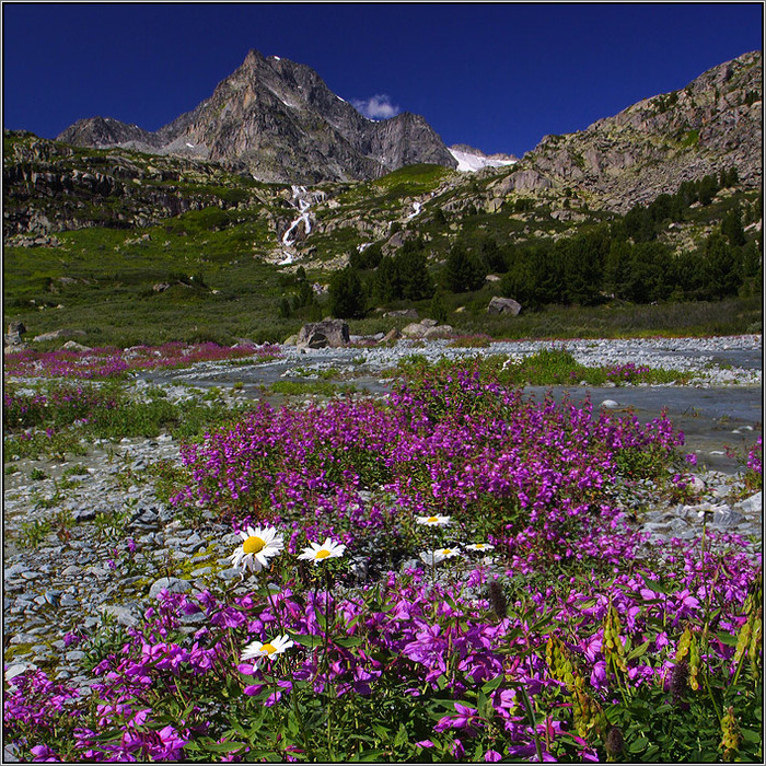 Горный алтай весной фото