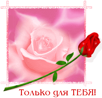 http://img1.liveinternet.ru/images/attach/c/0/44/89/44089554_26fefd6a182e.gif