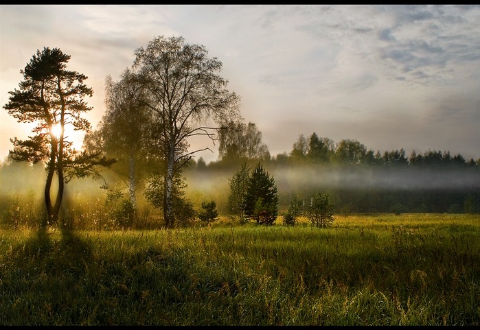 Широкое на широкое фото