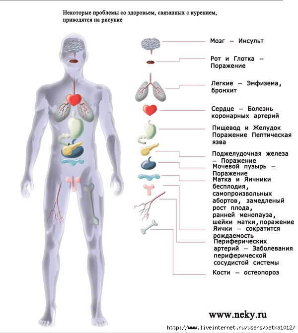 Болезни при курении картинки