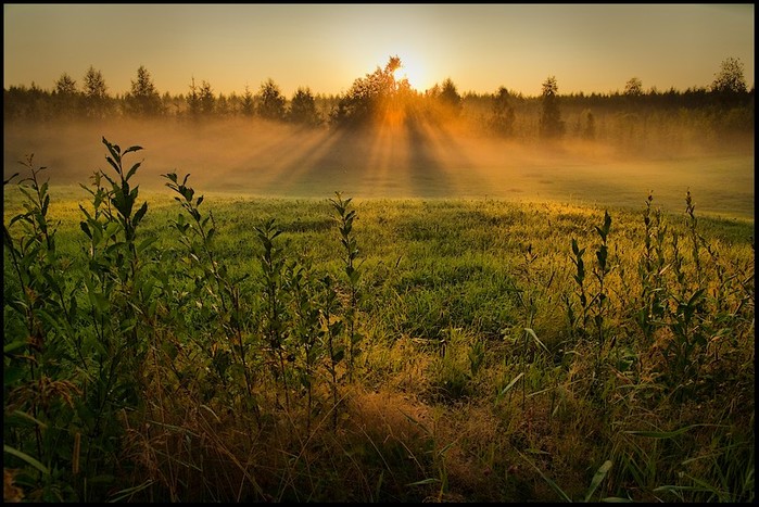 Фотография Раннего Утра