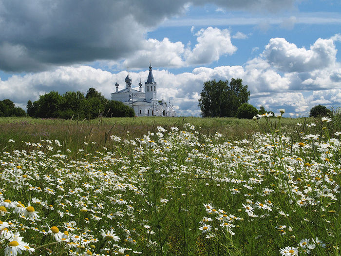 Церковь цветы