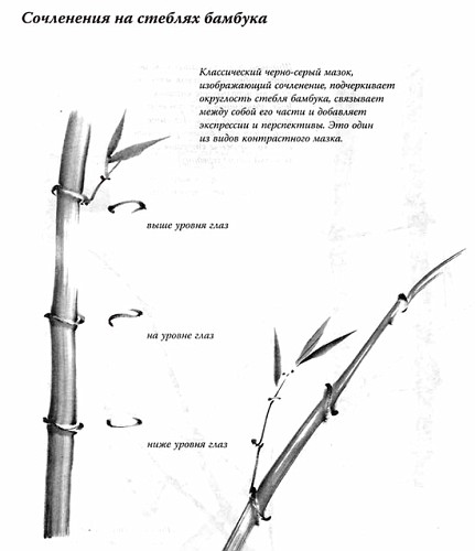 Как нарисовать бамбук легко