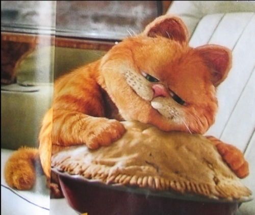 Пироги кемерово с доставкой сытый кот. Гарфилд и пирожки. Гарфилд и лазанья. Кот Гарфилд. Кот с пирогом.