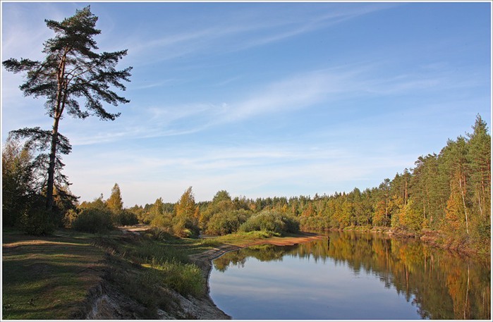 Мещерский край фото