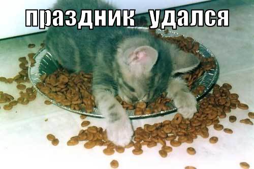 (500x333, 25Kb)