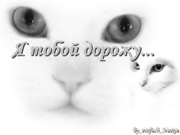  (600x450, 30Kb)