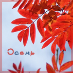   4 (150x150, 46Kb)