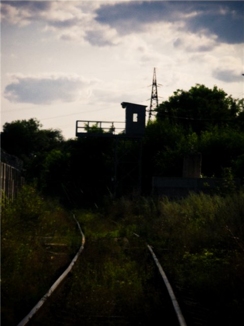  (480x640, 37Kb)