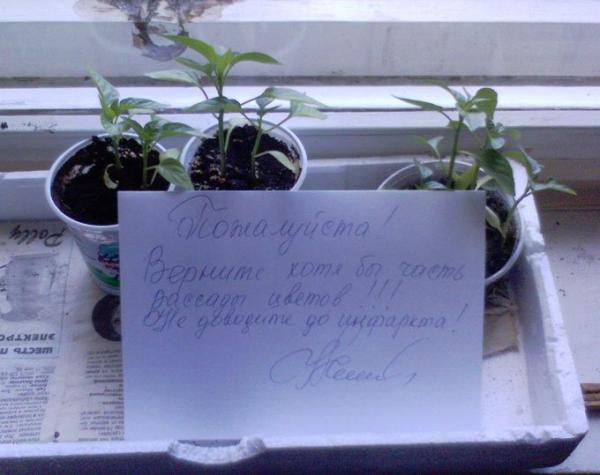  (600x475, 34Kb)