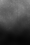  (100x150, 14Kb)