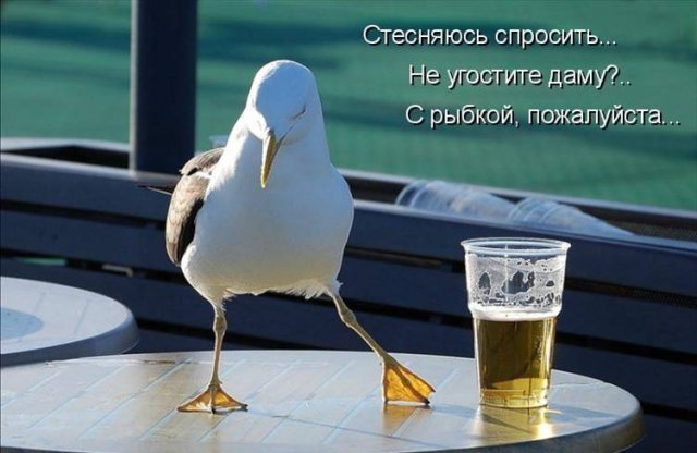 http://img1.liveinternet.ru/images/attach/c/1//49/409/49409370_0d54992c9f0e2eda27f701b4a25abd24.jpg