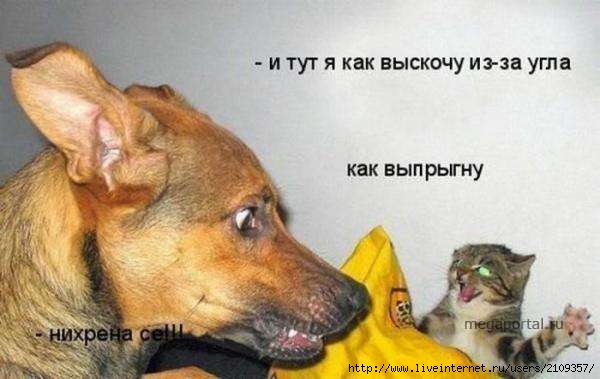  (600x379, 29Kb)