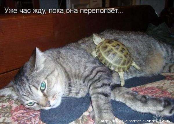  (600x429, 35Kb)