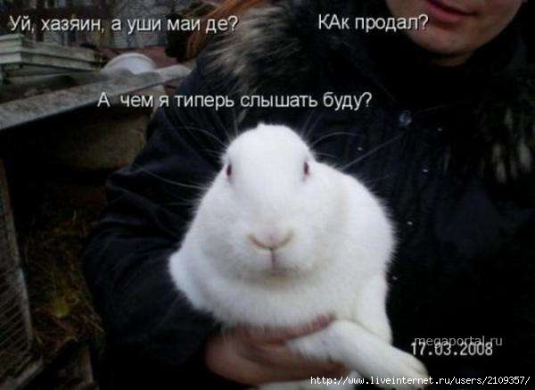  (600x437, 23Kb)