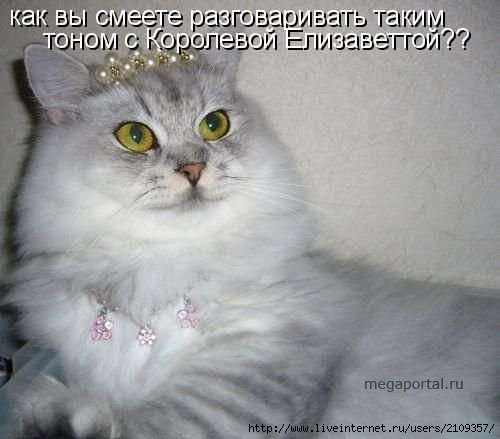  (500x439, 21Kb)