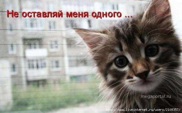  (600x374, 26Kb)