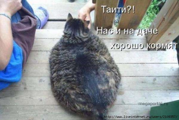  (600x403, 30Kb)