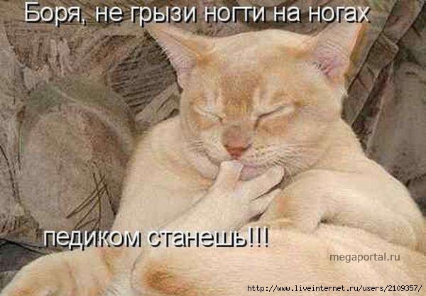  (600x417, 35Kb)