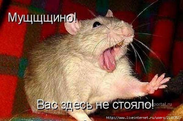  (600x396, 33Kb)