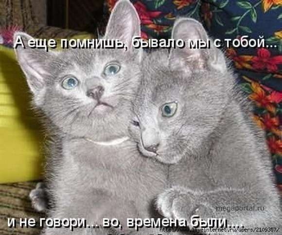  (580x482, 39Kb)