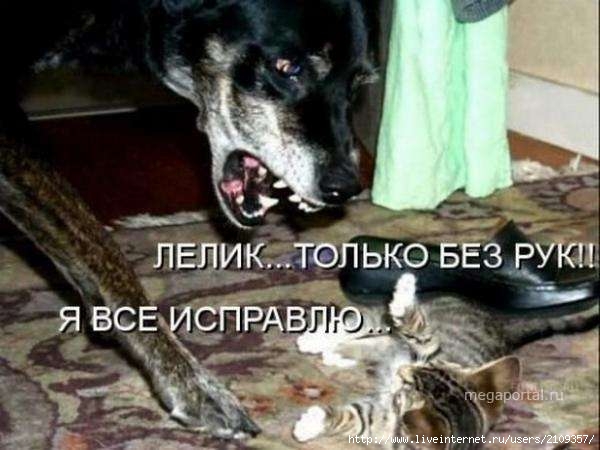  (600x450, 36Kb)