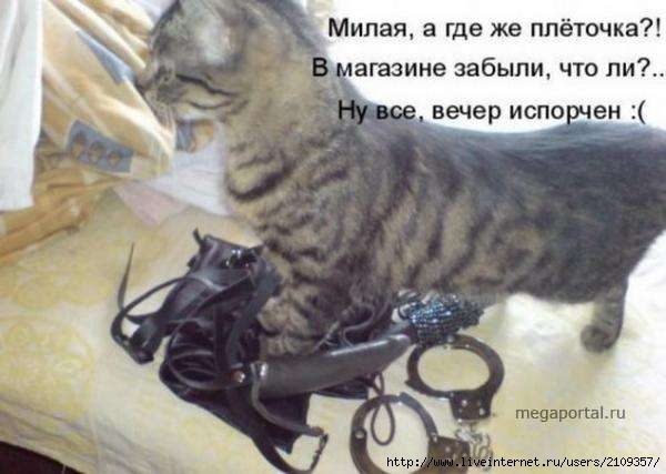  (600x427, 31Kb)