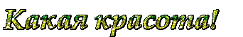  (342x53, 16Kb)