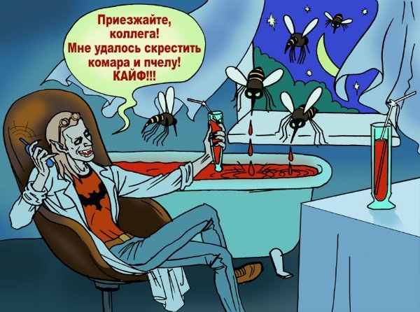  (600x446, 73Kb)