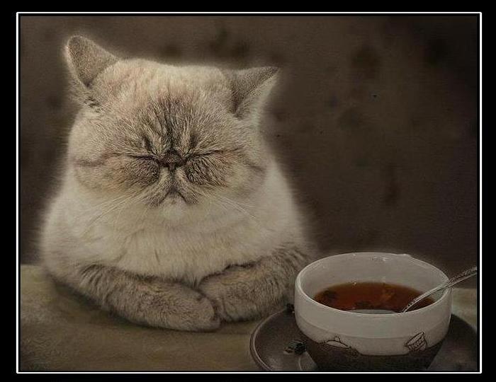  (700x540, 43Kb)