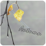  (150x150, 41Kb)