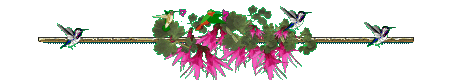 (450x80, 10Kb)