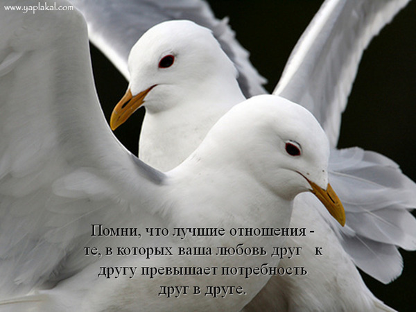  (600x450, 68Kb)