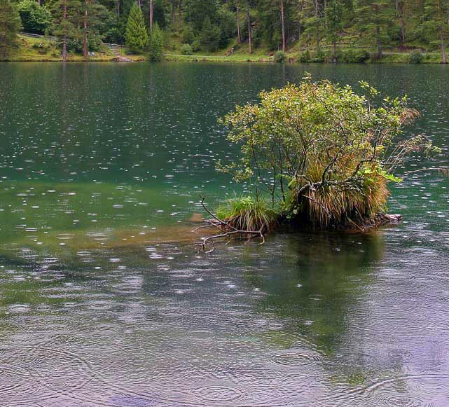 ����� 2 (641x581, 76Kb)