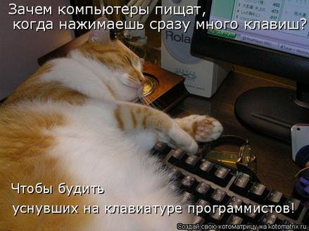 (439x329, 65Kb)