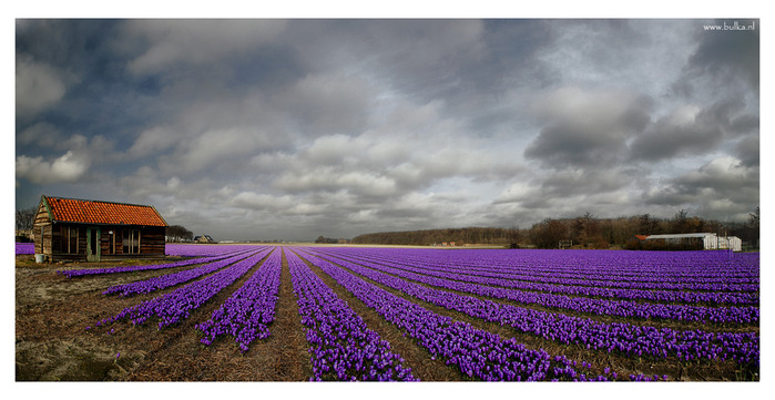  (699x361, 113Kb)