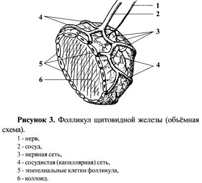 (411x372, 21Kb)