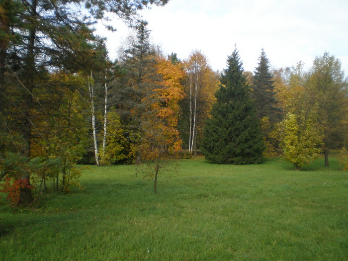 PA060066 (700x525, 138Kb)