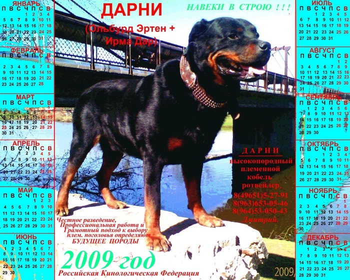  (700x560, 236Kb)