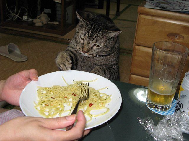  (640x480, 58Kb)