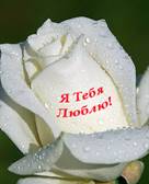 image004 (136x168, 4Kb)
