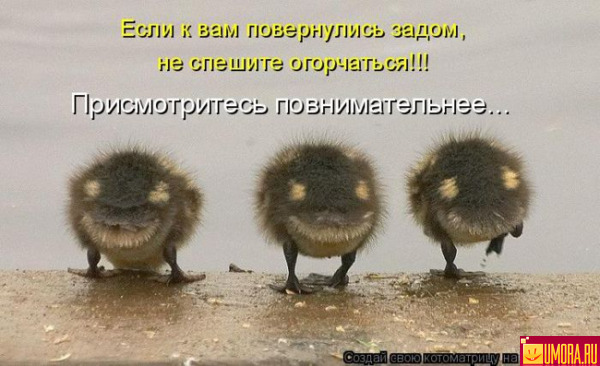  (600x366, 76Kb)
